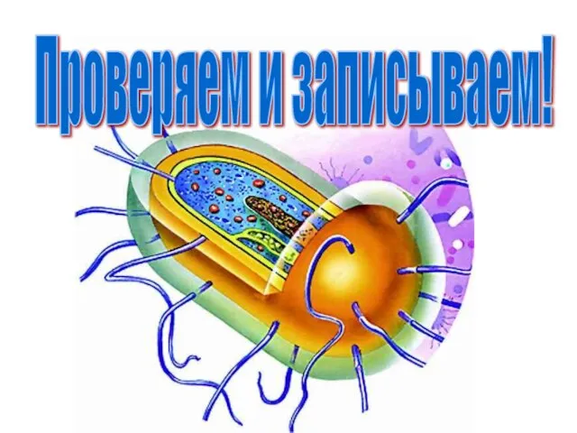 Проверяем и записываем!