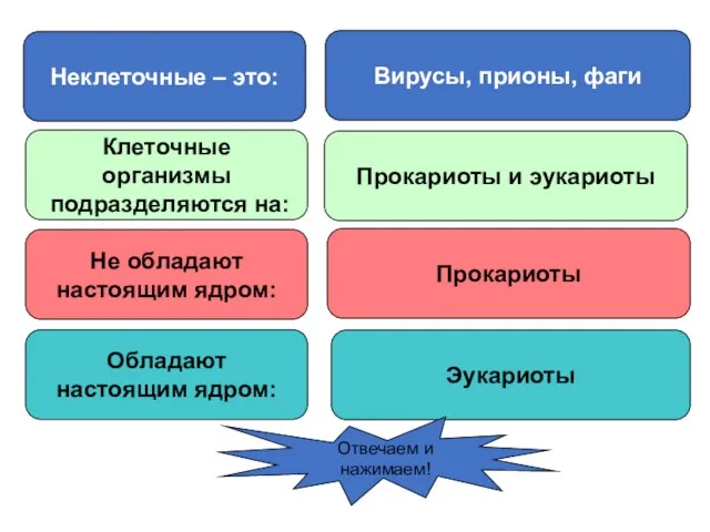 Неклеточные – это: Вирусы, прионы, фаги Клеточные организмы подразделяются на: Прокариоты