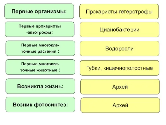 Первые организмы: Первые прокариоты -автотрофы: Первые многокле- точные растения : Первые