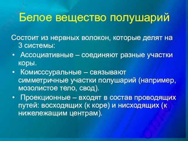 Белое вещество полушарий Состоит из нервных волокон, которые делят на 3