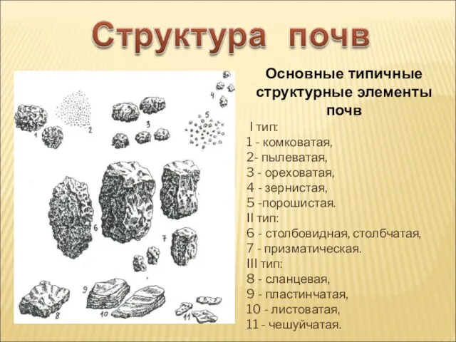 Основные типичные структурные элементы почв I тип: 1 - комковатая, 2-