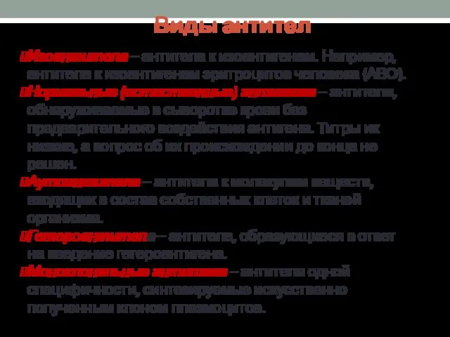 Виды антител Изоантитела – антитела к изоантигенам. Например, антитела к изоантигенам