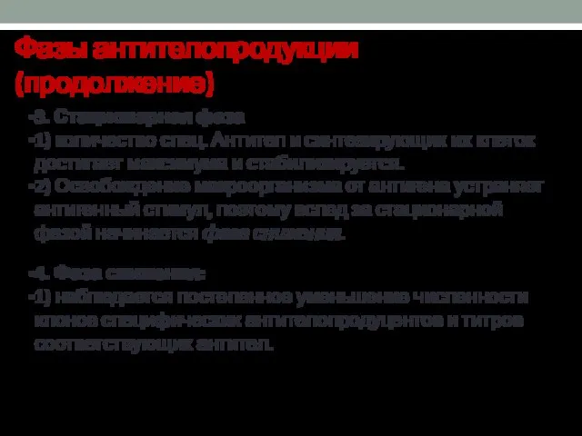 3. Стационарная фаза 1) количество спец. Антител и синтезирующих их клеток