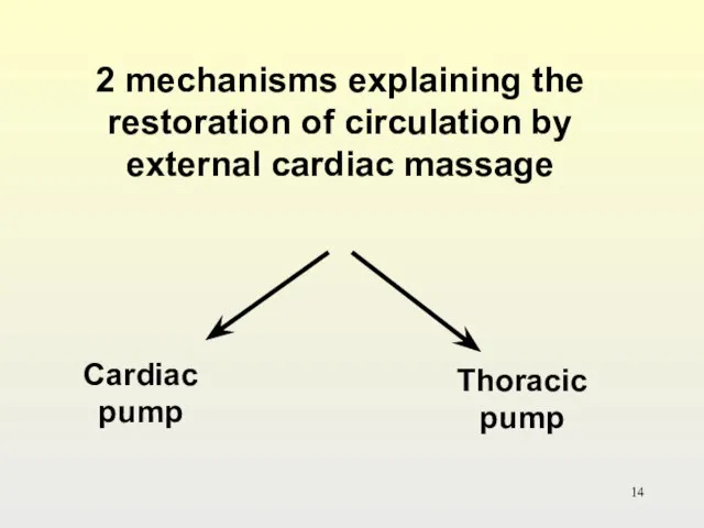 2 mechanisms explaining the restoration of circulation by external cardiac massage Cardiac pump Thoracic pump