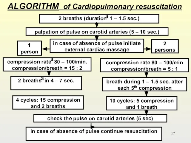 ALGORITHM of Cardiopulmonary resuscitation 4 cycles: 15 compression and 2 breaths