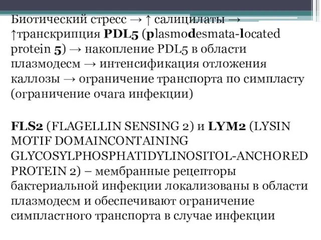 Биотический стресс → ↑ салицилаты → ↑транскрипция PDL5 (plasmodesmata-located protein 5)