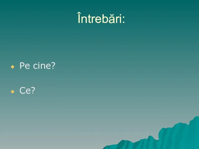 Întrebări: Pe cine? Ce?