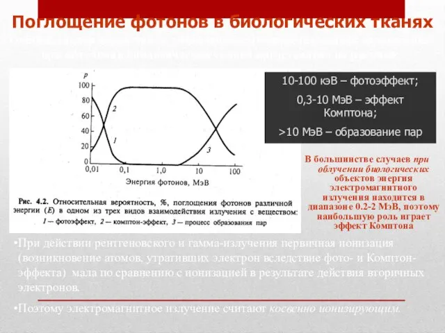 В большинстве случаев при облучении биологических объектов энергия электромагнитного излучения находится