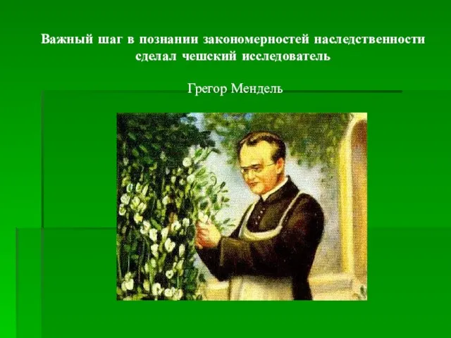 Важный шаг в познании закономерностей наследственности сделал чешский исследователь Грегор Мендель