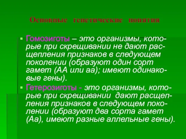 Основные генетические понятия Гомозиготы – это организмы, кото-рые при скрещивании не