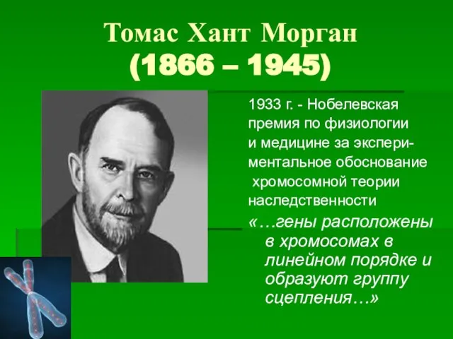 Томас Хант Морган (1866 – 1945) 1933 г. - Нобелевская премия