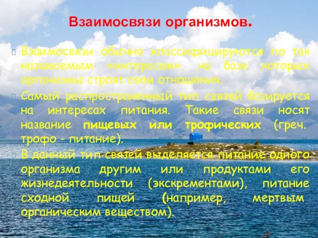 Взаимосвязи обычно классифицируются по так называемым «интересам», на базе которых организмы