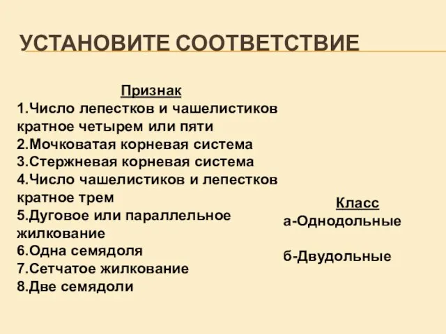 УСТАНОВИТЕ СООТВЕТСТВИЕ Признак 1.Число лепестков и чашелистиков кратное четырем или пяти