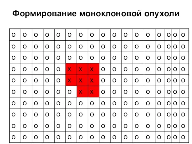 Формирование моноклоновой опухоли