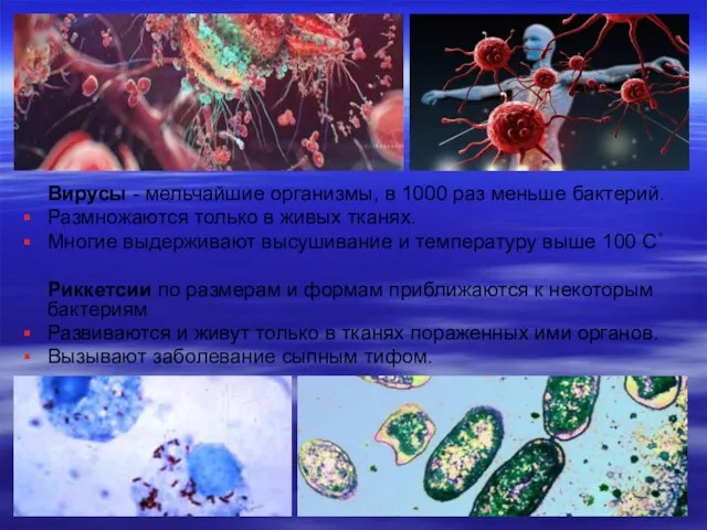 Вирусы - мельчайшие организмы, в 1000 раз меньше бактерий. Размножаются только