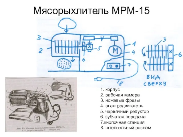 Мясорыхлитель МРМ-15 1. корпус 2. рабочая камера 3. ножевые фрезы 4.