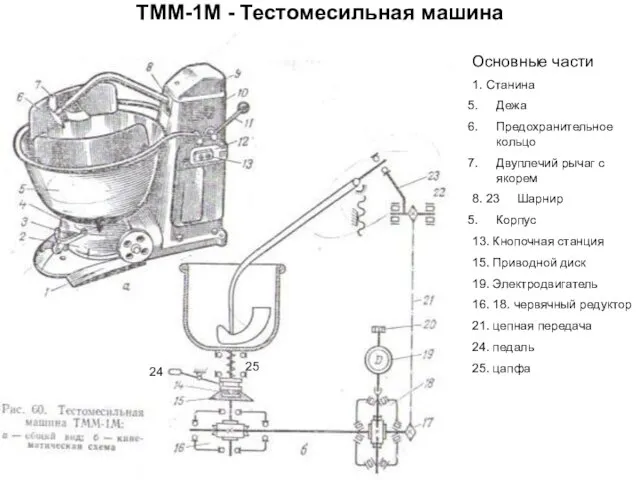 ТММ-1М - Тестомесильная машина Основные части 1. Станина Дежа Предохранительное кольцо