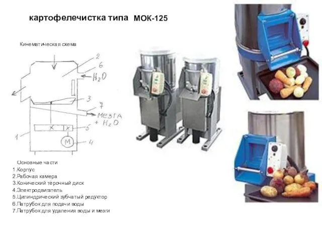 картофелечистка типа МОК-125. Основные части Корпус Рабочая камера Конический тёрочный диск