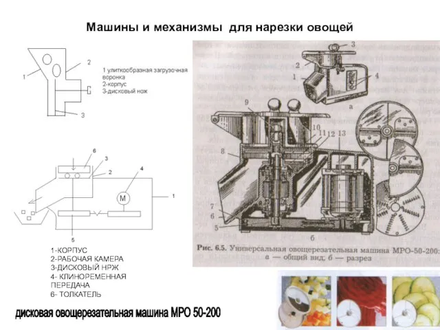 Машины и механизмы для нарезки овощей 1-КОРПУС 2-РАБОЧАЯ КАМЕРА 3-ДИСКОВЫЙ НРЖ