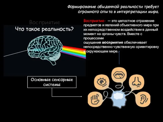 Что такое реальность? Формирование обыденной реальности требует огромного опыта в интерпретации