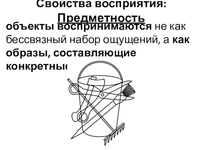 Свойства восприятия: Предметность объекты воспринимаются не как бессвязный набор ощущений, а как образы, составляющие конкретные предметы.