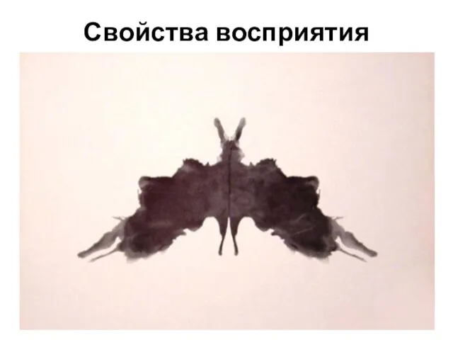 Свойства восприятия