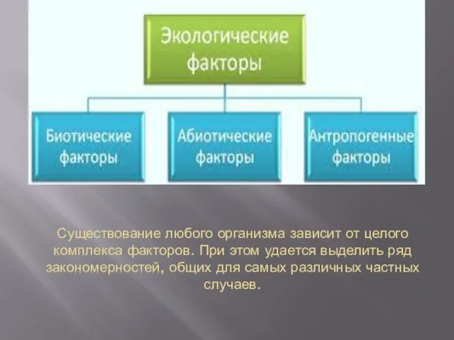 Существование любого организма зависит от целого комплекса факторов. При этом удается