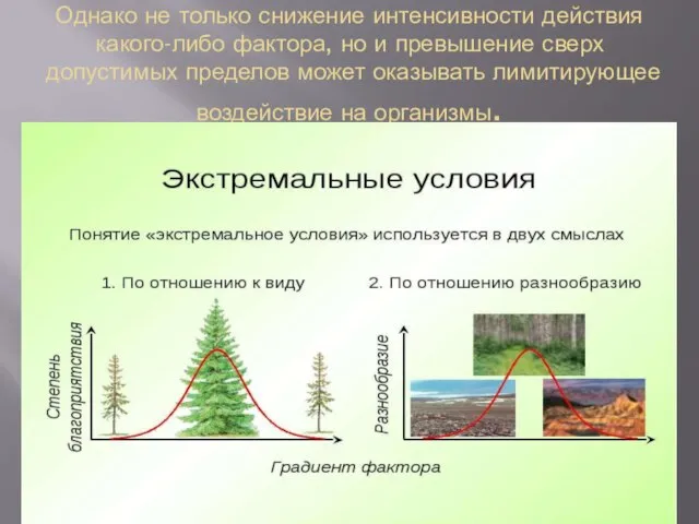 Однако не только снижение интенсивности действия какого-либо фактора, но и превышение