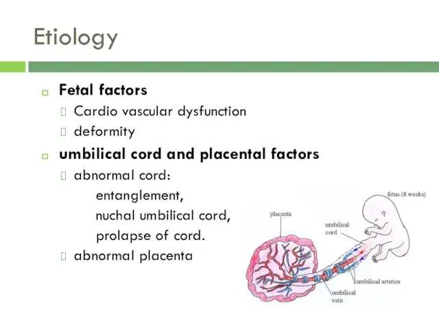 Etiology Fetal factors Cardio vascular dysfunction deformity umbilical cord and placental