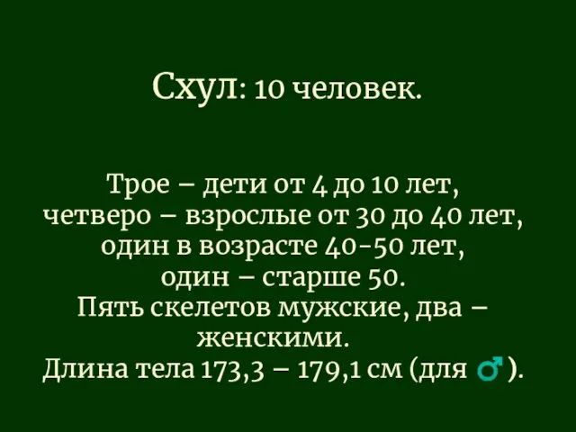 Схул: 10 человек. Трое – дети от 4 до 10 лет,