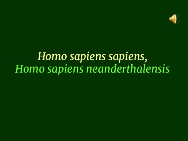 Homo sapiens sapiens, Homo sapiens neanderthalensis