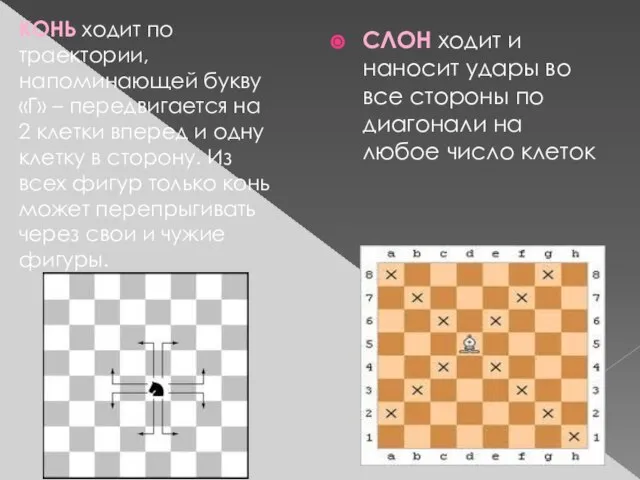 СЛОН ходит и наносит удары во все стороны по диагонали на