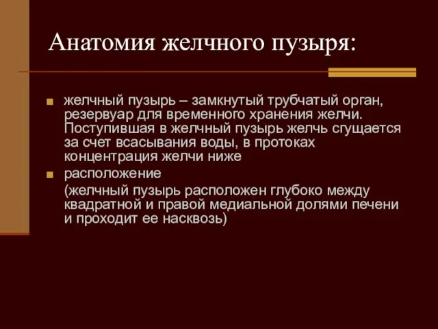 Анатомия желчного пузыря: желчный пузырь – замкнутый трубчатый орган, резервуар для