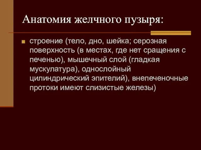 Анатомия желчного пузыря: строение (тело, дно, шейка; серозная поверхность (в местах,