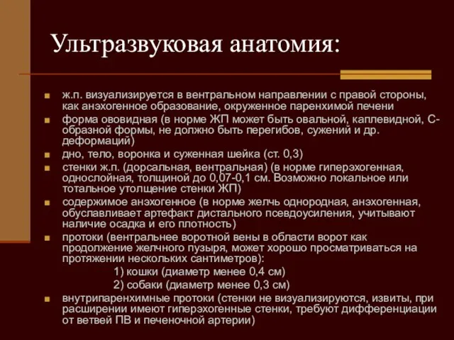 Ультразвуковая анатомия: ж.п. визуализируется в вентральном направлении с правой стороны, как