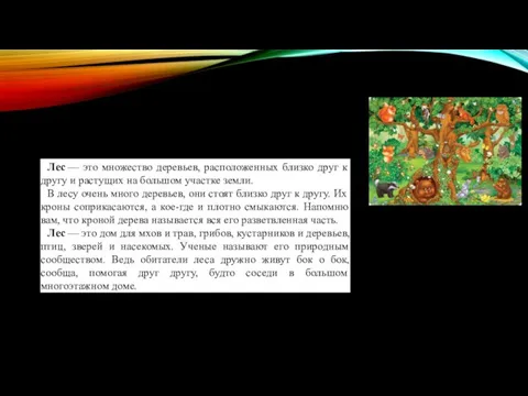 Лес — это множество деревьев, расположенных близко друг к другу и