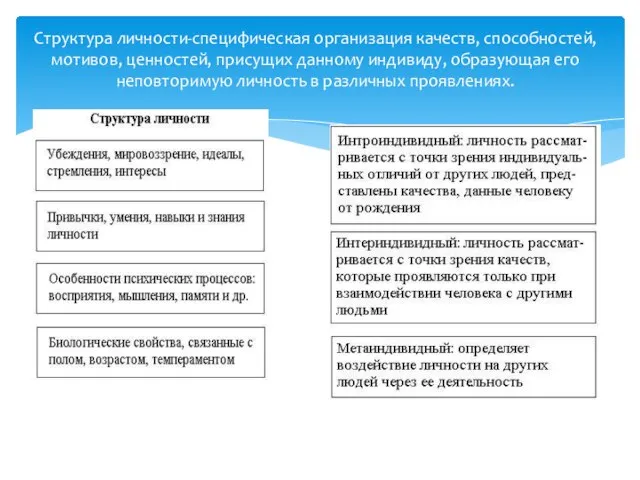 Структура личности-специфическая организация качеств, способностей, мотивов, ценностей, присущих данному индивиду, образующая