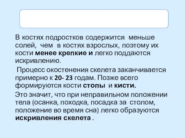 Особенности костной системы подростков В костях подростков содержится меньше солей, чем