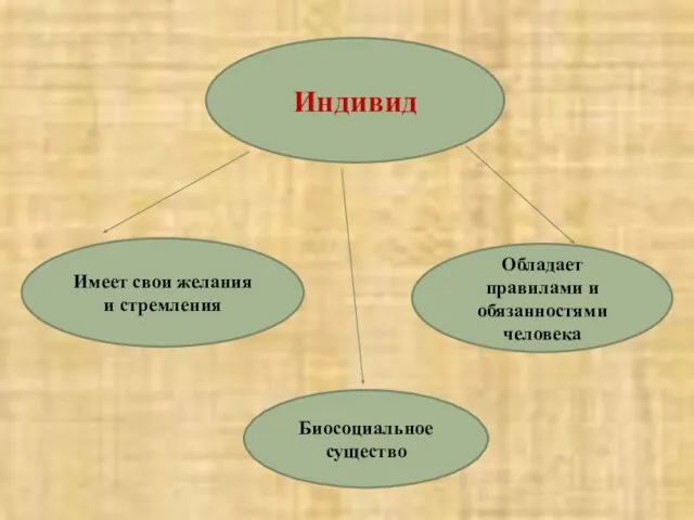 Индивид Имеет свои желания и стремления Биосоциальное существо Обладает правилами и обязанностями человека