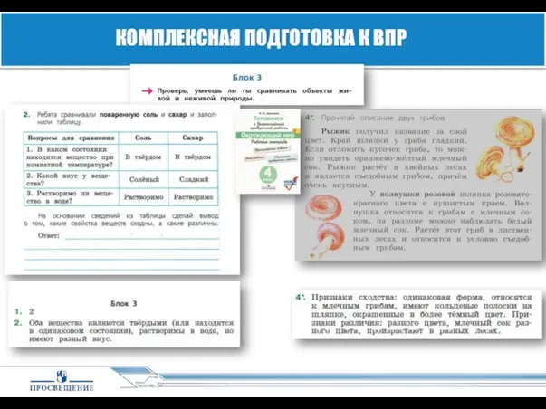 КОМПЛЕКСНАЯ ПОДГОТОВКА К ВПР