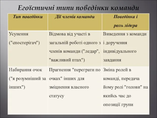 Егоїстичні типи поведінки команди