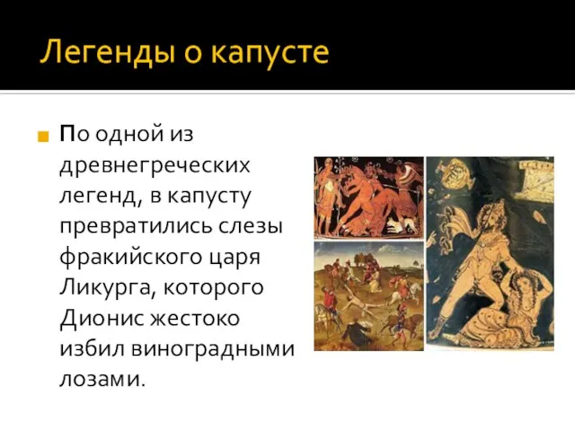 Легенды о капусте По одной из древнегреческих легенд, в капусту превратились