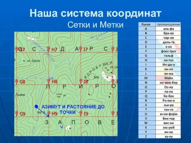 Наша система координат Сетки и Метки