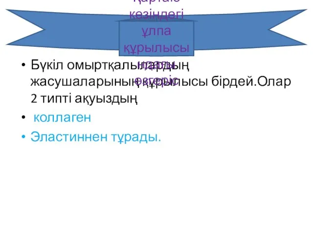 Бүкіл омыртқалылардың жасушаларының құрылысы бірдей.Олар 2 типті ақуыздың коллаген Эластиннен тұрады. Қартаю кезіндегі ұлпа құрылысындағы өзгеріс