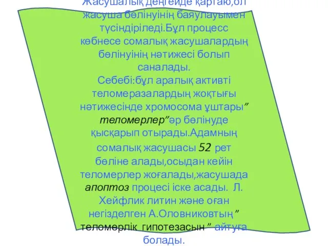 Жасушалық деңгейде қартаю,ол жасуша бөлінуінің баяулауымен түсіндіріледі.Бұл процесс көбнесе сомалық жасушалардың