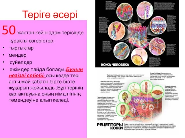 Теріге әсері 50 жастан кейін адам терісінде тұрақты өзгерістер: тыртықтар меңдер