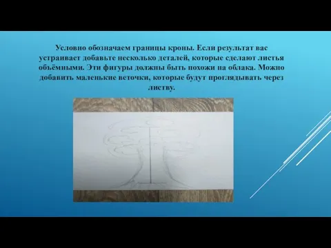 Условно обозначаем границы кроны. Если результат вас устраивает добавьте несколько деталей,