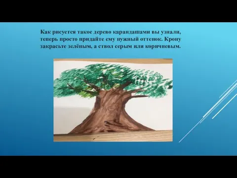 Как рисуется такое дерево карандашами вы узнали, теперь просто придайте ему