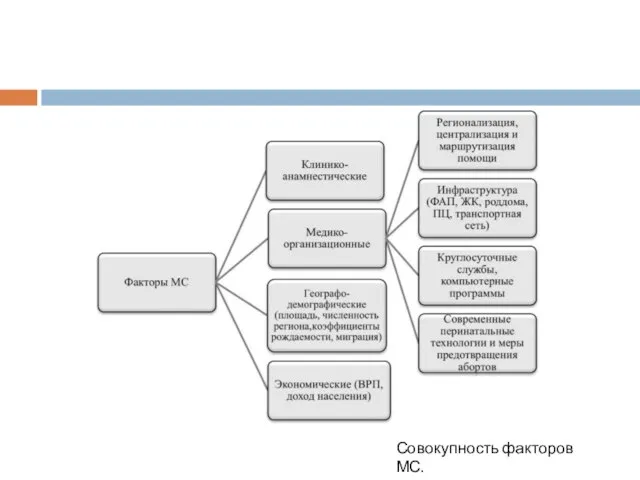 Совокупность факторов МС.