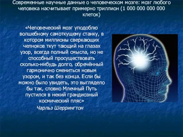 Современные научные данные о человеческом мозге: мозг любого человека насчитывает примерно